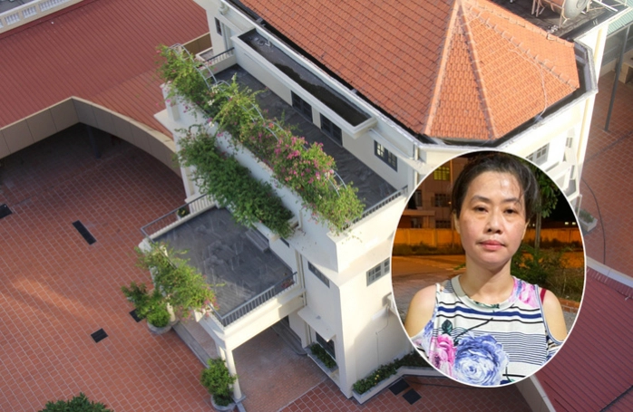 Theo cơ quan Công an, bà Kim Soan bị cáo buộc lừa đảo ông John Koon (quốc tịch Úc) và các công ty do ông John Koon làm đại diện được ủy quyền với tổng số tiền là 11.290.000 USD (quy đổi theo tỷ giá tại thời điểm nhận tiền là hơn 234 tỷ đồng).