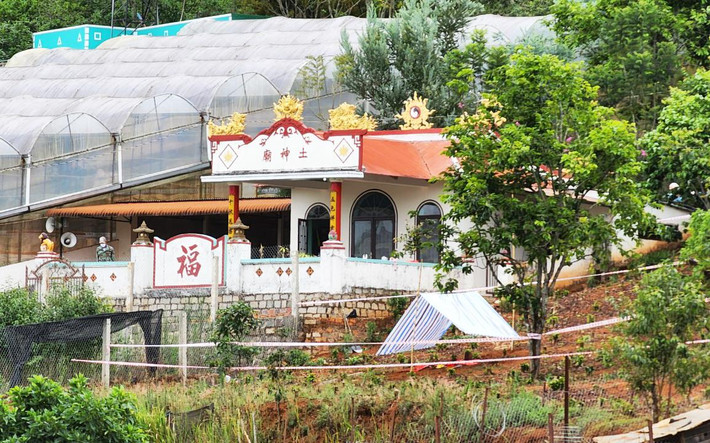 Theo hồ sơ vụ án, khoảng 16h ngày 6/4/2022, trong khi đang làm vườn, một người dân tại xóm Trại Thiếc, thôn Trường Xuân 2, xã Xuân Trường, TP.Đà Lạt thấy chú chó vừa đào bới vừa sủa inh ỏi tại một địa điểm gần miếu Thổ thần nên chạy tới thì phát hiện thi thể một phụ nữ nhô lên mặt đất. Thi thể đang bị phân hủy nặng. (Ảnh Tiền Phong)