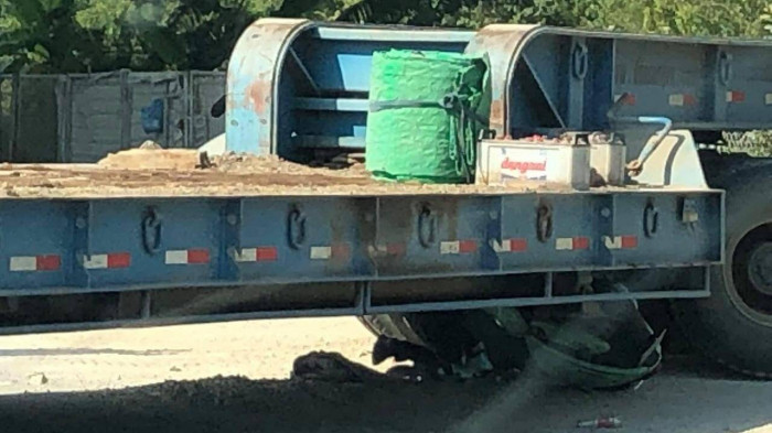 Va chạm với xe container, nữ sinh đi xe đạp điện tử vong: Khoảng 13h45 ngày 12/1 tại phường Hải Thành, quận Dương Kinh, TP Hải Phòng chiếc xe đầu kéo di chuyển theo hướng từ Đồ Sơn về Cầu Rào (Hải Phòng) thì va chạm với xe máy điện do em Nguyễn Khánh V. (SN 2004, trú Hải Thành, Dương Kinh, Hải Phòng) điều khiển. Cú va chạm mạnh đã làm nữ sinh tử vong tại chỗ.
