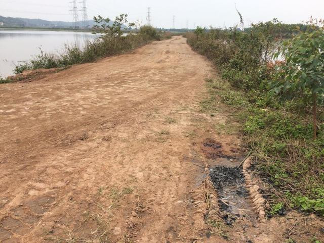 Do thời điểm xảy ra sự việc được xác định vào lúc rạng sáng, tại khu vực vắng vẻ, các dấu vết gần như bị kẻ thủ ác xóa sạch đã khiến cơ quan điều tra gặp vô vàn khó khăn. Nhân chứng duy nhất của vụ án là Trần Thị Thêm (SN 1982, hàng xóm và cũng là bạn thân của nạn nhân). Chính người này đã tìm tới nhà chị N. trong tâm trạng hốt hoảng, gào khóc không ngừng để thông báo cho gia đình nạn nhân về sự việc. Nhằm dựng lại diễn biến vụ án, cơ quan công an đã mời Trần Thị Thêm tới để lấy lời khai. (Khu vực nơi xảy ra sự việc)