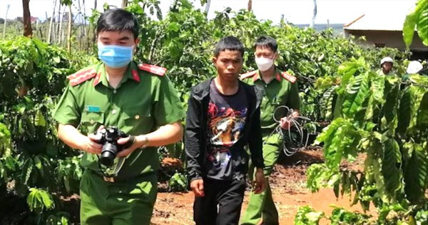 Giang khai, sau khi uống rượu với nhiều người trong làng, đối tượng về nhà cãi nhau với gia đình, rồi bỏ ra chòi rẫy ngủ. Đến 21h ngày 14/3, khi đi qua vườn cà phê thấy chị Hồng đang rọi đèn tưới nước thì nảy sinh ý định hiếp dâm. (Ảnh Tiền Phong)