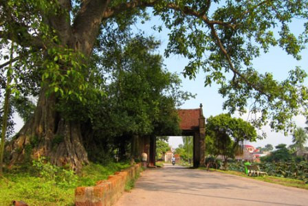Sau 5 năm khổ luyện, nắm bắt và kết hợp những tinh hoa của các môn phái, lượng sức mình đã đủ lông đủ cánh, Tuyên trở về làng, tìm những kẻ đã chèn ép, gây hấn với gia đình anh để trừng trị. Không dừng lại ở đó, Tuyên nghênh ngang đi khắp làng trên xóm dưới, hễ gặp kẻ nào ra oai là đánh, xưng hùng xưng bá là đánh. Thậm chí, kẻ nào trông ngứa mắt cũng đánh. Đánh không cần biết lý do. (Ảnh minh hoạ)