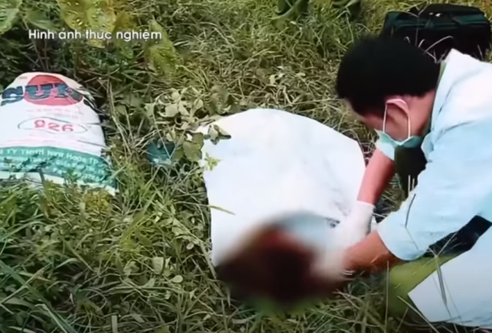 Công an đã tiến hành khám xét nơi ở, là phòng trọ của chị Hoàn ở xã Phước Bình, huyện Long Thành và thu giữ một số vật chứng nhằm phục vụ công tác điều tra. Theo người thân, bạn bè chị Hoàn, mọi người không liên lạc được với chị từ trưa mùng 5 tết Đinh Dậu (2/2/2017)
