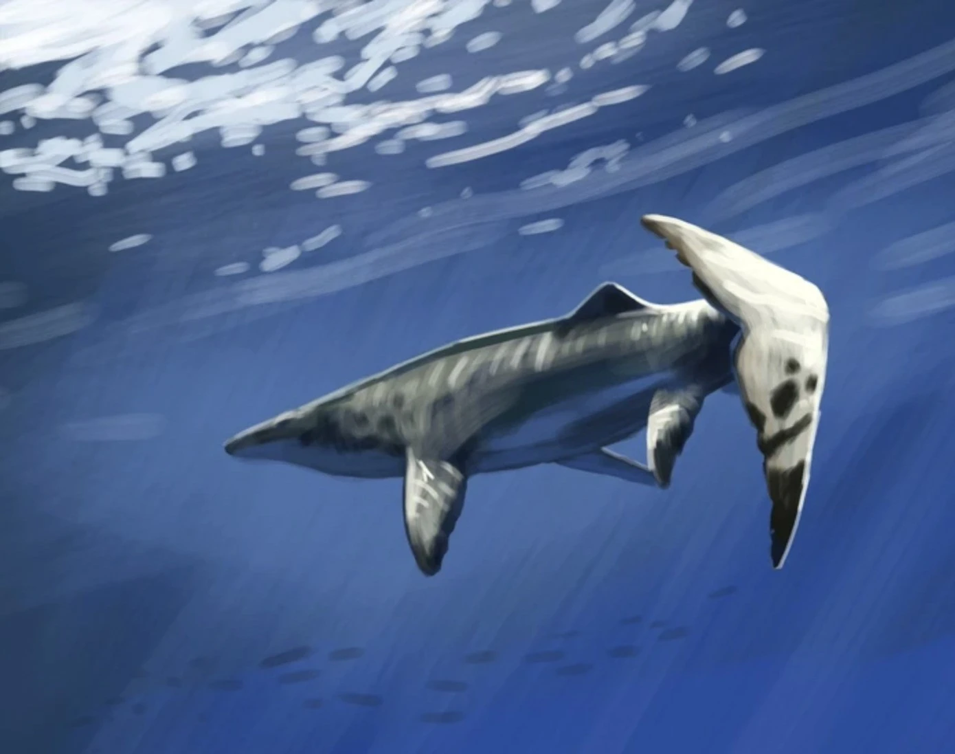 'Thủy quái' khổng lồ, chưa từng biết đến, được tìm thấy ở Morocco