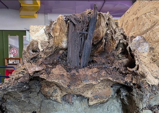 Giải mã hộp sọ 'quái thú' tìm thấy gần khu mộ hỏa táng cổ xưa ở Đức