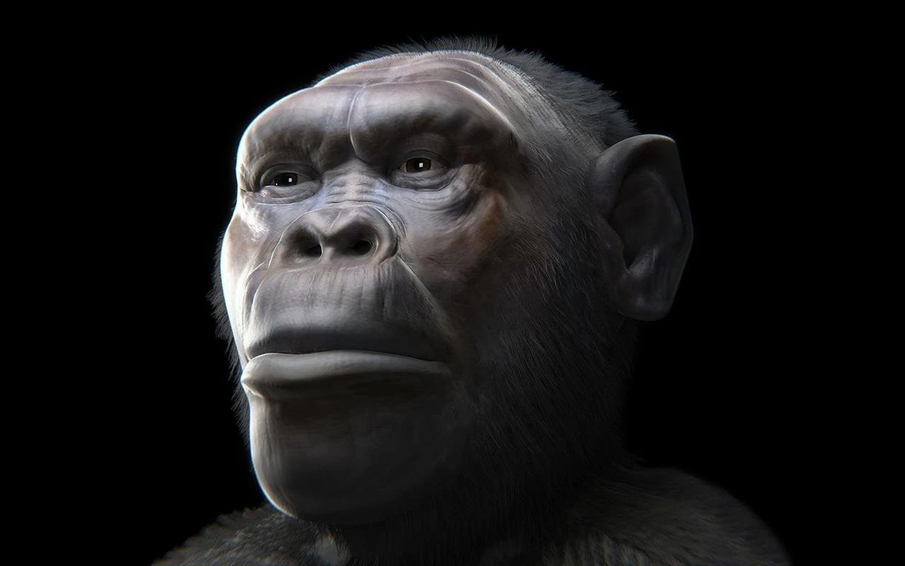 Hai loài người bí ẩn đi cùng tổ tiên Homo erectus rời khỏi châu Phi