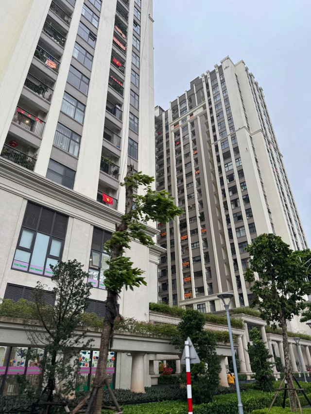 Người có nhu cầu đến tìm hiểu về dự án An Lạc Green Symphony 2.jpg