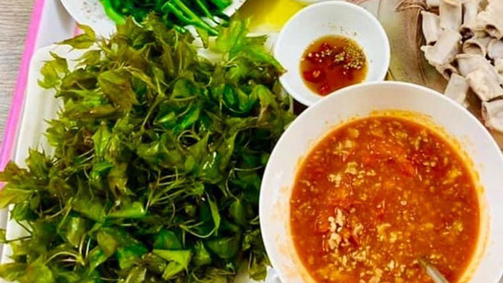 Lá sau sau non chứa nhiều chất tannin nên có vị chát, thơm gần giống quả trám trắng, chấm ngọn sau sau với sốt cà chua mẻ, vị chát của lá hòa quyện với vị chua của mẻ, ngậy của thịt hộp. Ảnh: ANTĐ