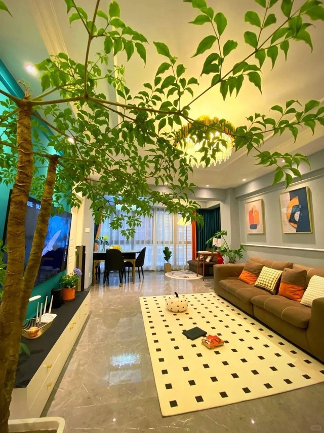 1. Cây hạnh phúc: Đầu tiên là cây hạnh phúc, nghe tên đã toát lên sự ấm êm, viên mãn. Cây mang dáng vẻ mềm mại, lá xanh bóng, sum suê, rất phù hợp để trưng bày ở những góc thoáng trong phòng khách.