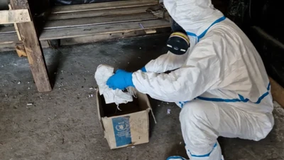 Nga đề nghị OPCW điều tra Ukraine về vũ khí hóa học