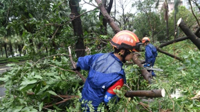 Cảnh ngổn ngang ở thành phố Tam Á (Trung Quốc) sau bão Kajiki