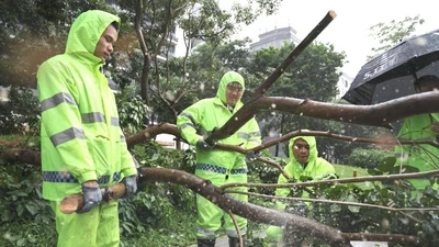 Hình ảnh bão Wipha đổ bộ miền nam Trung Quốc