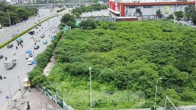 Dự án tháp tài chính gần 4.000 tỷ đồng ở Hà Nội "hoá rừng" 