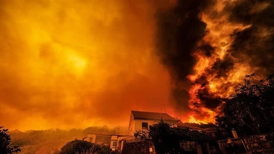 Hãi hùng cảnh cháy rừng như hỏa ngục ở Bồ Đào Nha