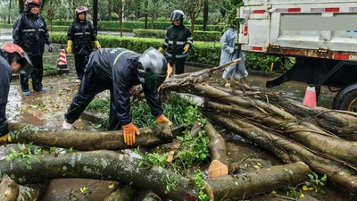 Cảnh ngổn ngang tại Trung Quốc sau bão Matmo