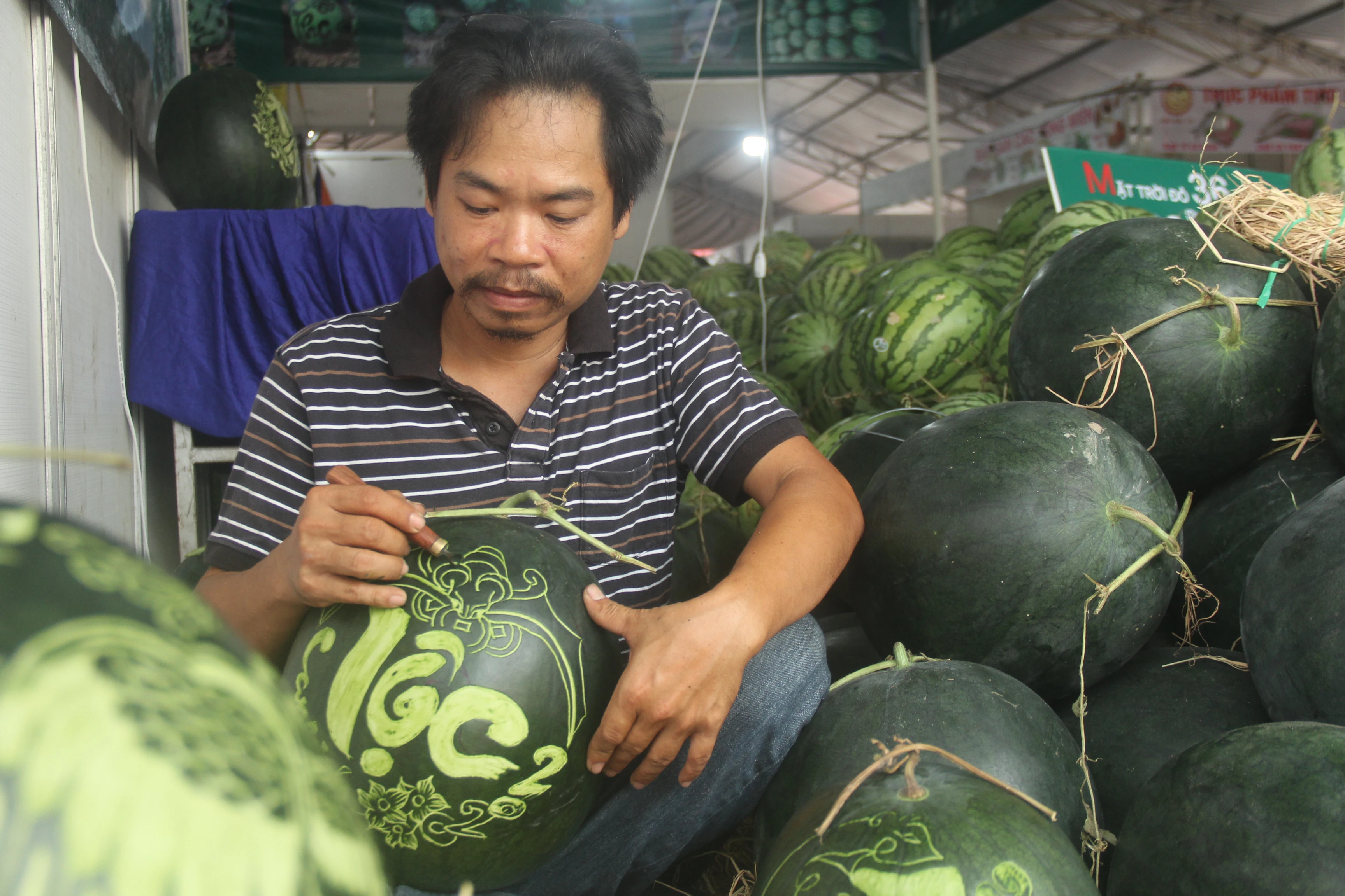 Dưa hấu "siêu to khổng lồ" khắc thư pháp bán tiền triệu mỗi cặp