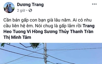 Bất lực trước gái ế, anh chị em bạn dì 'rao bán' trên MXH