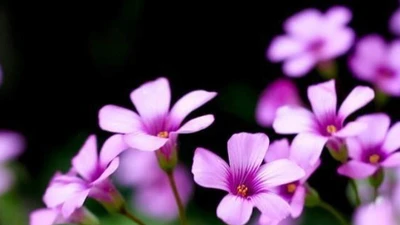 Dấu hiệu cuộc sống của một người ngày càng đi lên, đón nhiều phước lành