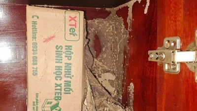 Chiếc tủ gỗ của bà tôi