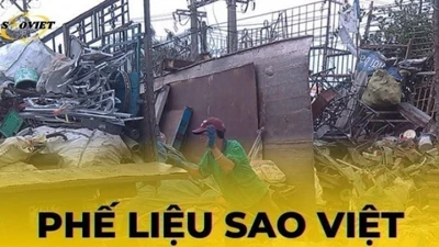 Thu mua phế liệu giá cao tại Phế Liệu Sao Việt: Giải pháp kinh tế và bền vững