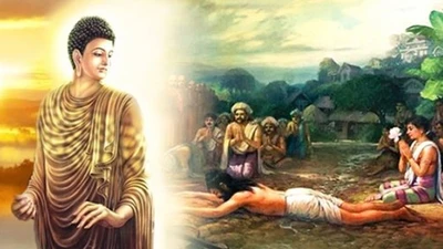 Phật dạy 7 trường hợp tuyệt đối không sát sinh kẻo họa bất trùng lai 