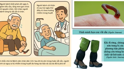 Đi rừng bị “vết cắn nhỏ” người đàn ông suýt tử vong vì nhiễm trùng huyết