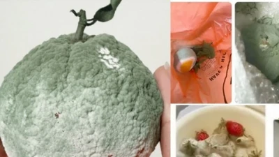 Thứ người Việt vứt đi, bán ở đây lại “hái ra tiền”
