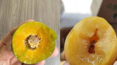 Mận Trung Quốc đang "làm mưa làm gió" ở chợ Việt có giá thế nào ở chính đất nước tỷ dân?