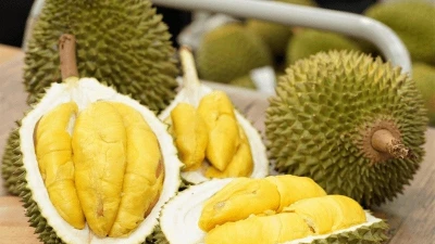 Những món ăn tuyệt đối không nên kết hợp với sầu riêng