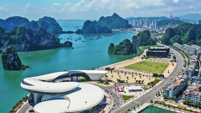 Tỉnh nào ở miền Bắc được ví như “Việt Nam thu nhỏ”, có vịnh di sản, ghi nhiều dấu ấn của vua nhà Trần?