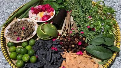Dầu gội đầu thảo dược, có thật sự tự nhiên như quảng cáo?