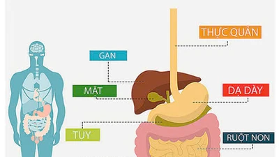 Chủ động tầm soát ung thư, thói quen sống còn trong thời hiện đại