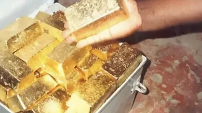Làm cỏ ven vách đá, bất ngờ vấp trúng “kho báu” khủng toàn vàng