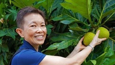 Loại quả quen thuộc ở Việt Nam giờ bỗng gây sốt ở nước ngoài, giá tiền triệu/kg