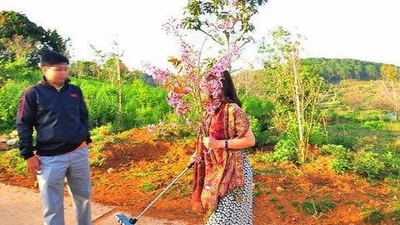 Nữ Phó giám đốc Sở bẻ hoa gửi thư xin lỗi