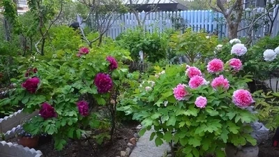 Tháng sinh Âm lịch tốt lành, ai sở hữu như vớ được vàng thô