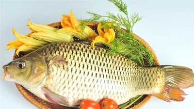 Cá chép dồi dào omega-3 cực tốt cho chị em phụ nữ