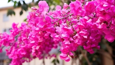 Ngày sinh Âm lịch kết thúc bằng 3 số này, hậu vận vượng lộc