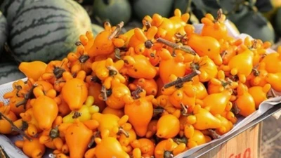 3 thực phẩm màu vàng “được săn lùng” vì công dụng hỗ trợ giảm tiểu đêm cực nhạy!