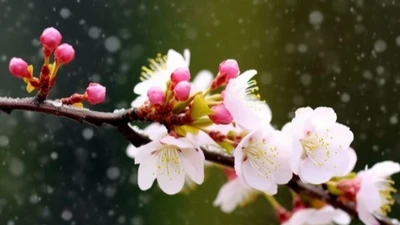 Quan hệ thân đến mấy, người khôn ngoan cũng hạn chế nói 3 điều này