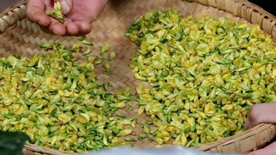 Hoa dại mỗi năm chỉ có 1 mùa, bà nội trợ săn lùng mua ăn dù giá tới 360.000 đồng/kg