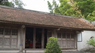 Đền Trúc - Ngũ Động Thi Sơn: Chốn yên bình bên dòng sông Đáy