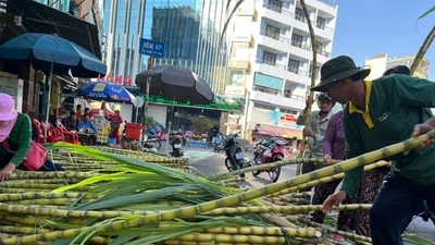 “Chợ mía” độc đáo mỗi năm chỉ họp một lần nhộn nhịp người mua 