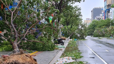 Cận cảnh TP Đà Nẵng khi siêu bão Noru quét qua