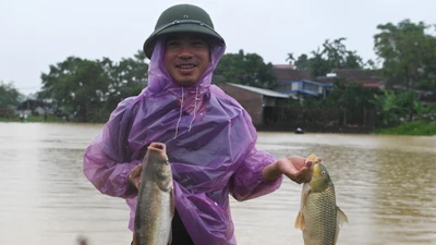 Người dân ngoại thành Hà Nội ra đường bắt cá trong nước lũ