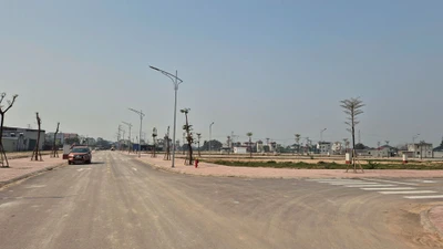 Bắc Giang đấu giá thành công 78 lô đất ở Hiệp Hòa, thu về 244 tỷ