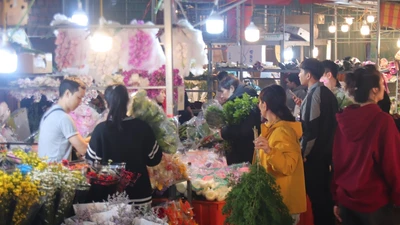 Chợ hoa đêm Quảng An (Hà Nội) tấp nập dịp 8/3