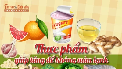 [INFOGRAPHIC] Thực phẩm tốt cho sức khỏe, tăng đề kháng mùa lạnh