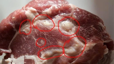 3 phần của con lợn nếu ăn càng ít sống càng thọ