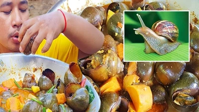 Món ốc sên hầm kinh dị nhưng có vị cực ngon